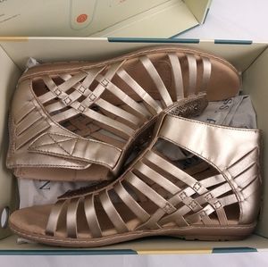 Camellia Marconi Wide